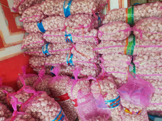 Bawang putih