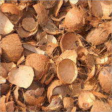 batok kelapa (tempurung kelapa)