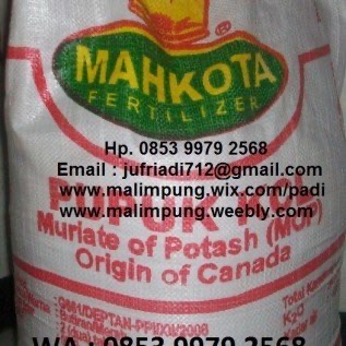 PUPUK KCL MAHKOTA (Makassar)