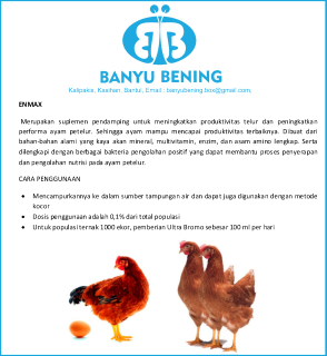 jamu ayam petelor untuk meningkatkan produksi