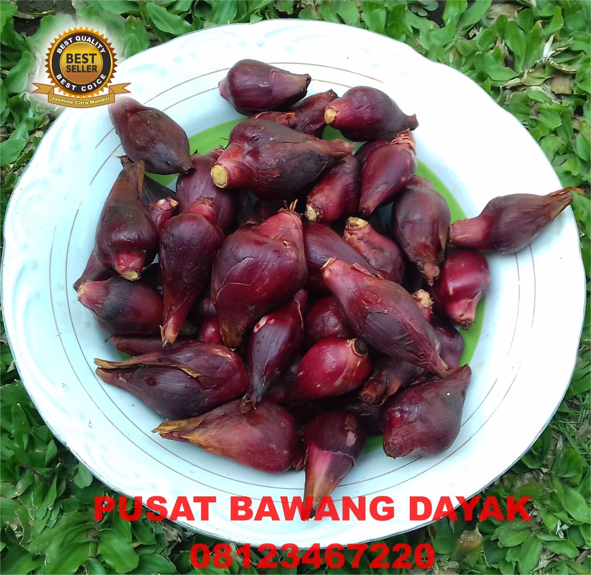 Bawang Dayak Basah