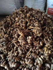 Kunyit kunir kering