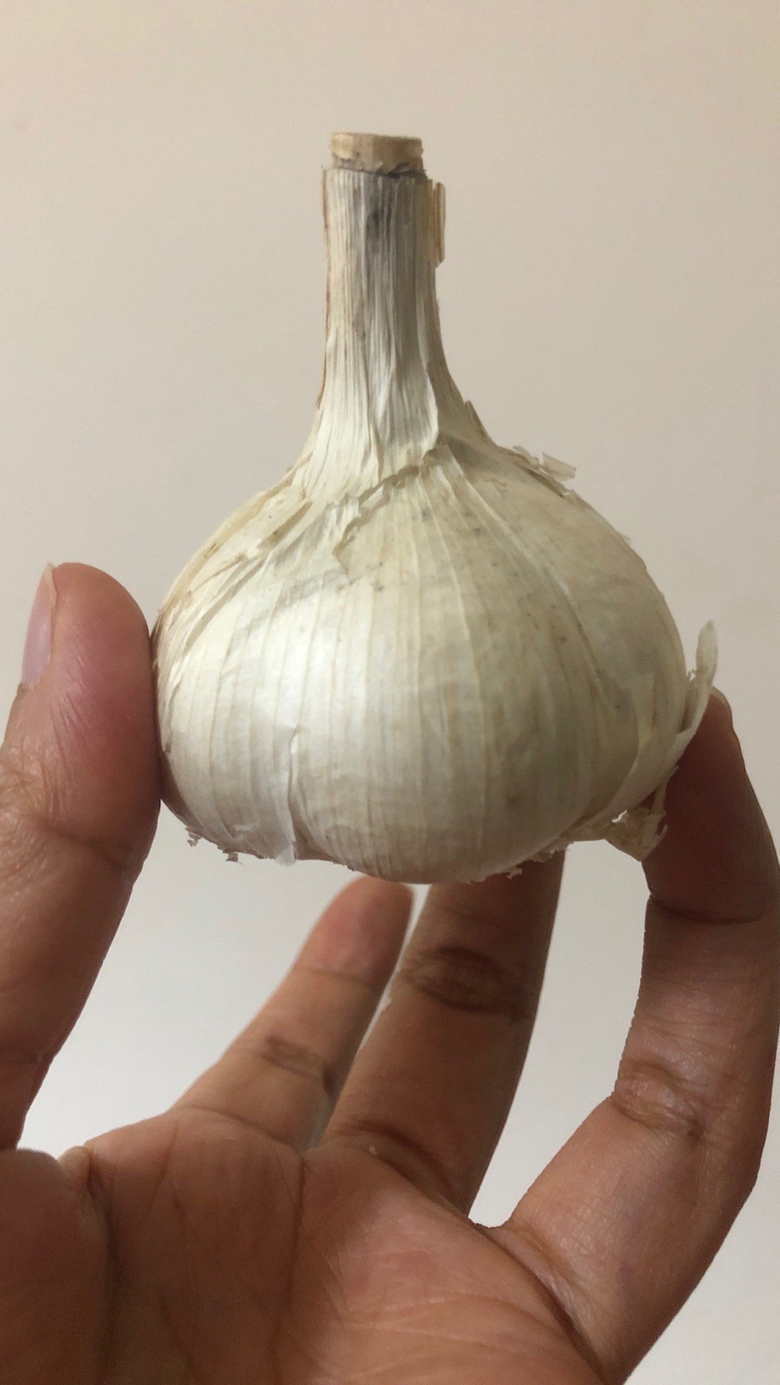 Bawang Putih Kating Kualitas Premium