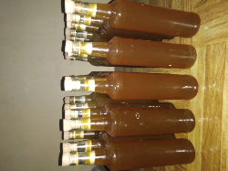 Madu Lebah Hutan (Dorsata,Tawon Gung, Odeng)