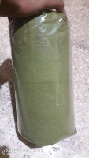 kelor bubuk