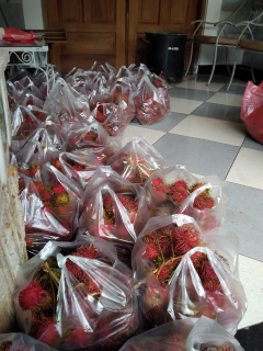 Rambutan Aceh