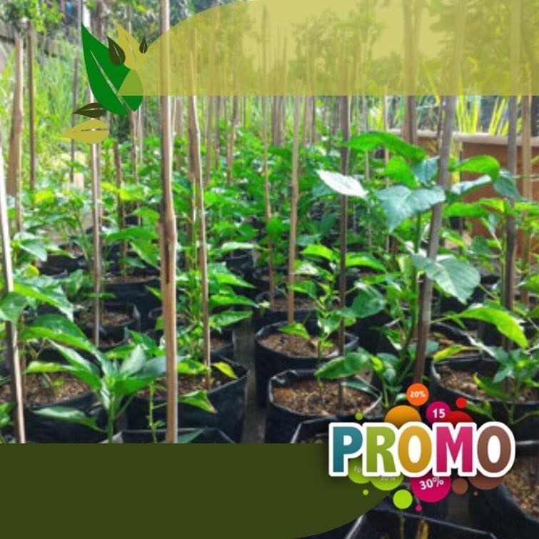 Polybag kantong plastik tanaman harga murah