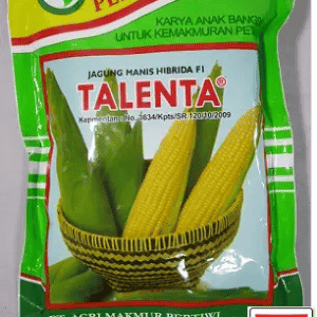 Benih Jagung Talenta 250 Gram
