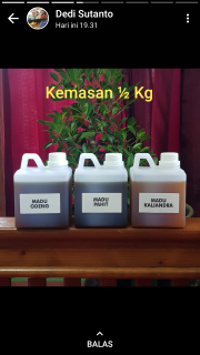 madu odeng