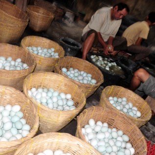 Jual Telur Asin Masir Murah dan Fresh