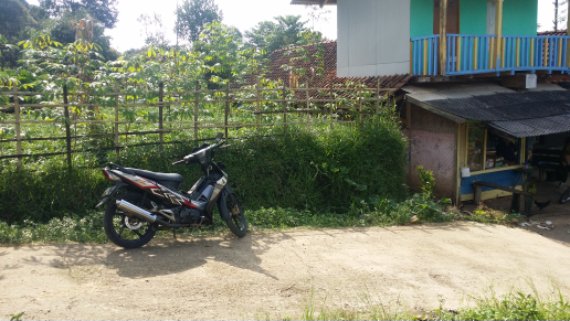 tanah kebun