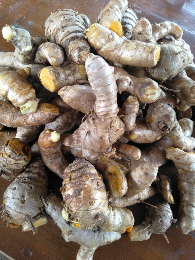 bahan jamu
