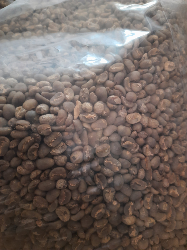 green bean kopi