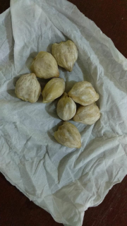 kemiri bulatan
