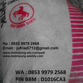 PUPUK CANTIK (CAP KUDA SAKTI)- MAKASSAR