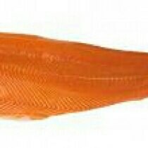jual ikan murah salmon  fillet termurah surabaya