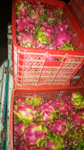buah buahan segar asli banyuwangi