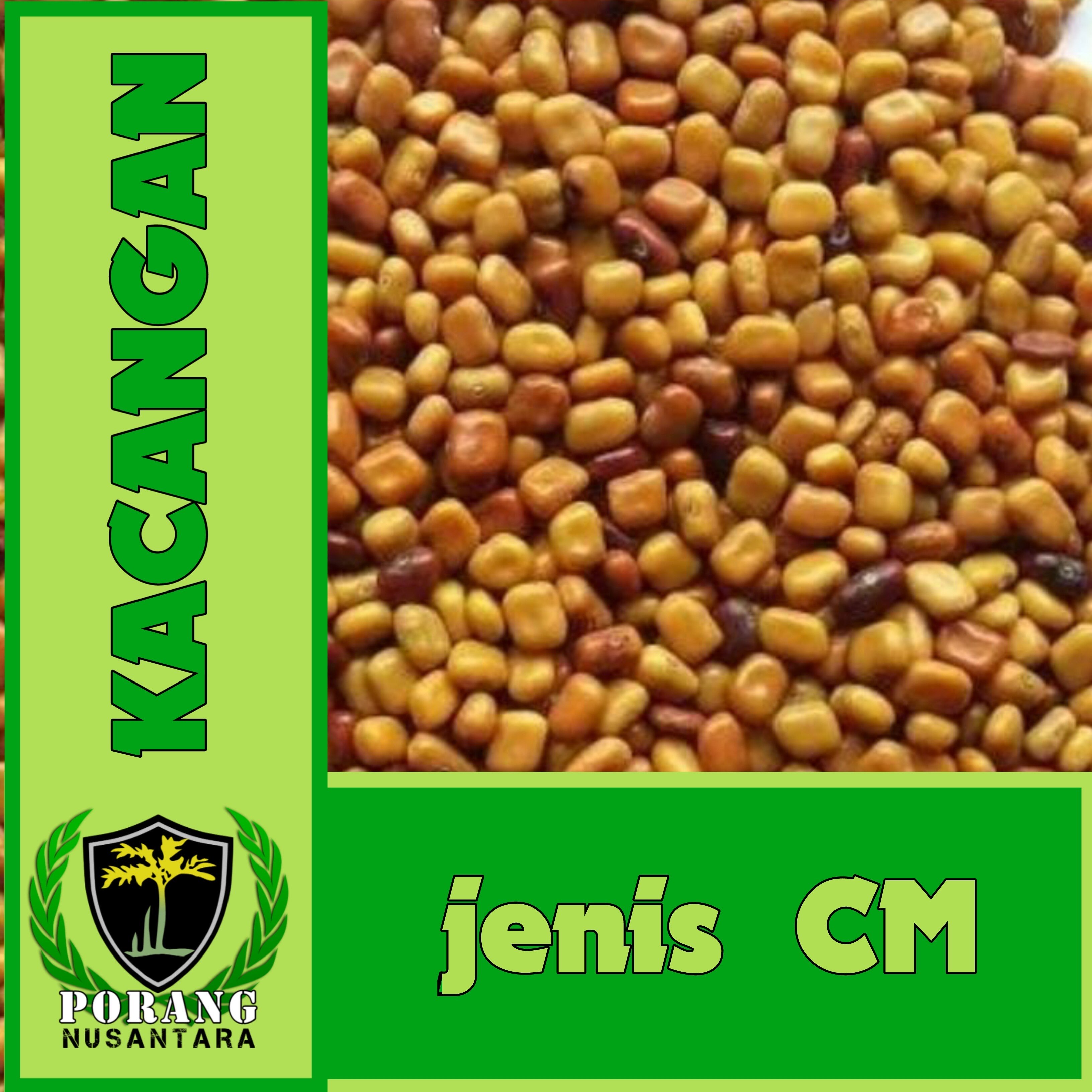 kacangan CM (Calopogonium Mucunoides)