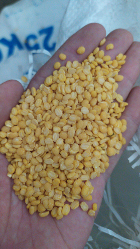 kacang hijau kupas impor