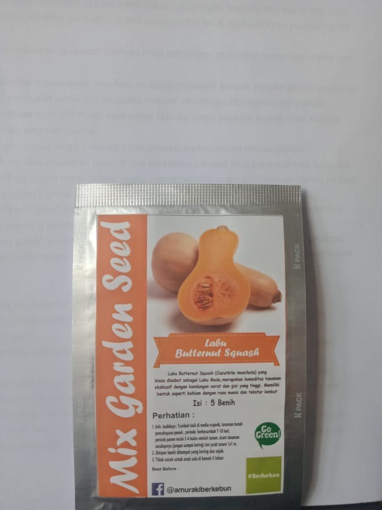 Benih Labu Butternut Squash 5 Benih - Star Farm
