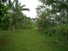 Dijual Tanah