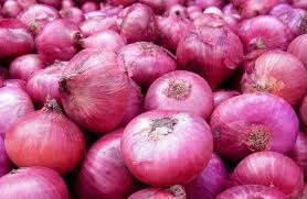 bawang merah kualitas baik sesuai permintaan