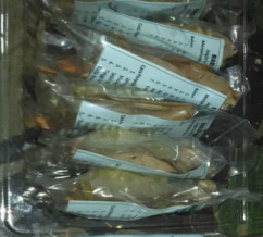 wedang uwuh khas Imogiri Yogyakarta