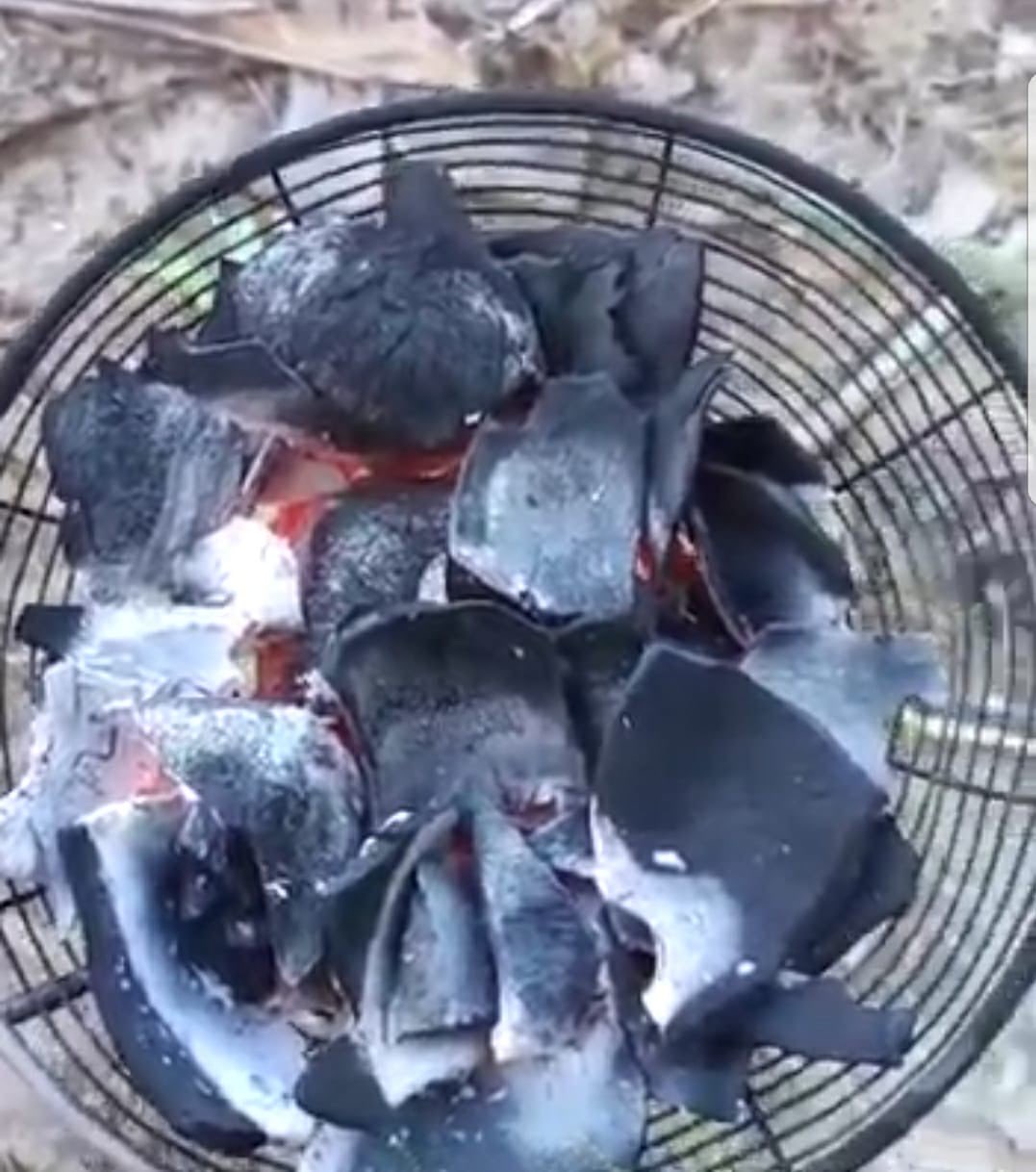 Jual arang dari kopra kelapa terbaik