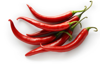 suplier cabe