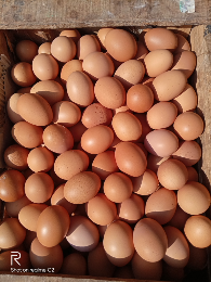 telur super