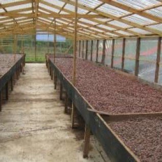 Jual Plastik UV Untuk Penjemuran Harga Murah