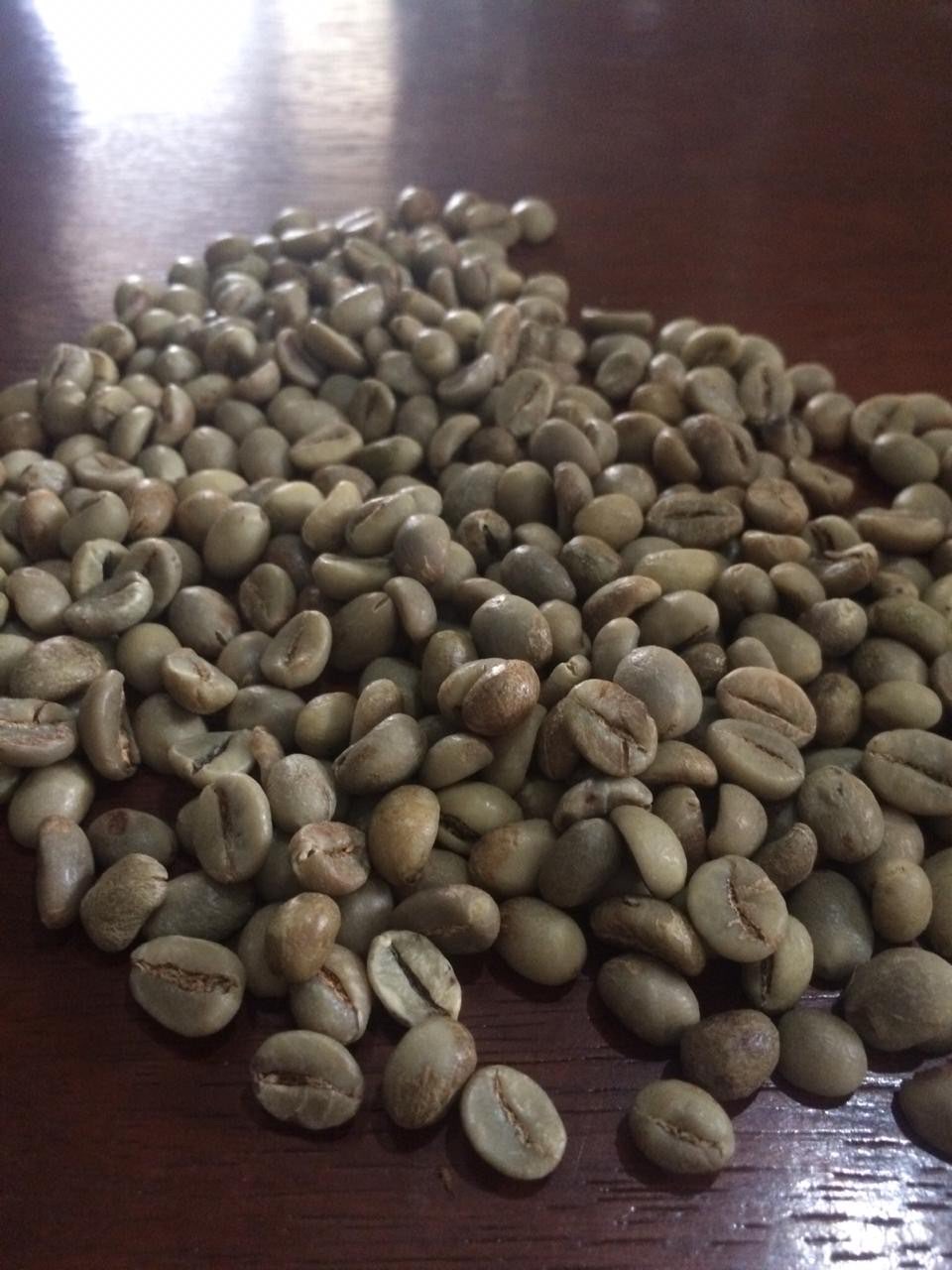 Kopi Robusta Green Bean Grade 1 Export