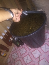 madu hutan asli