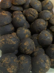 Gula Aren