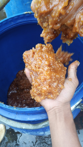 GULA MADU