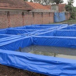 Jual Terpal Plastik Untuk Kolam Ikan