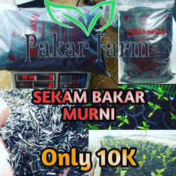 Sekam Bakar / Arang Sekam