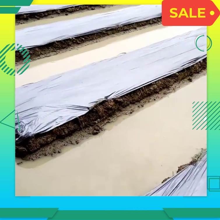 Plastik Mulsa  Hitam Perak Hambat Gulma Harga Murah