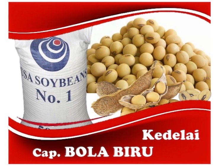 Kedelai