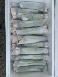 asparagus