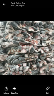 kepala ikan patin