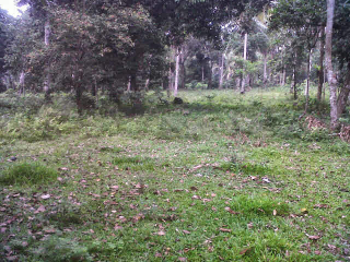 Di jual tanah lokasi pinggir jalan lintas sumatra