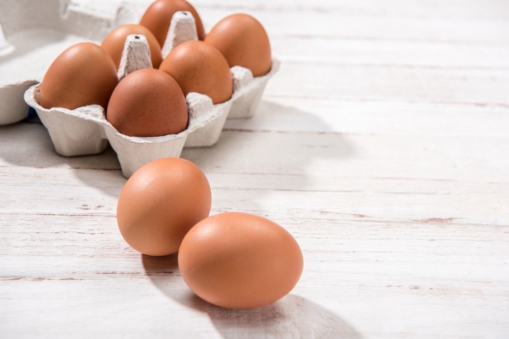 Jual Produk Telur Ayam (Suplier) Jawa Timur