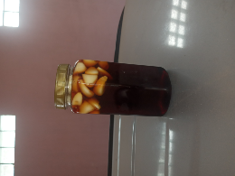 madu klanceng bawang putih plus jahe