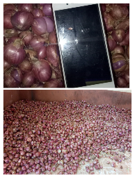 tBawang Merah Garing