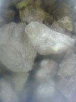 damar