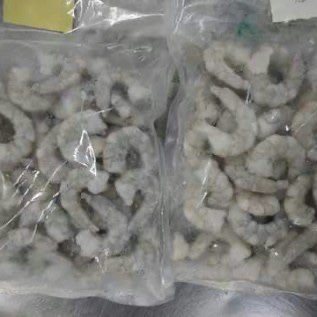 Supplier udang kupas frozen