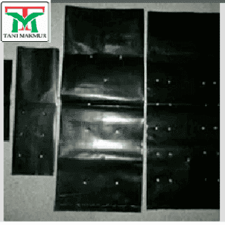 POLYBAG POT ANEKA UKURAN