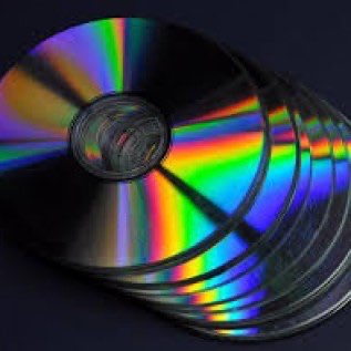 CD TERNAK/PEMBIBITAN BELUT KOMPLIT