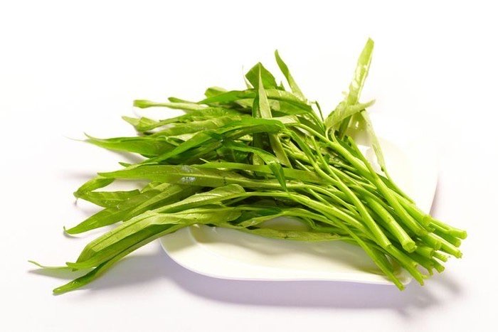 Kangkung Organik Dardenia Pekanbaru